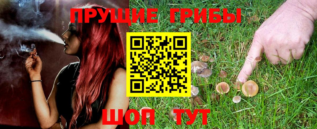 Галлюциногенные грибы GOLDEN TEACHER  Вход с VPN  Апатиты 